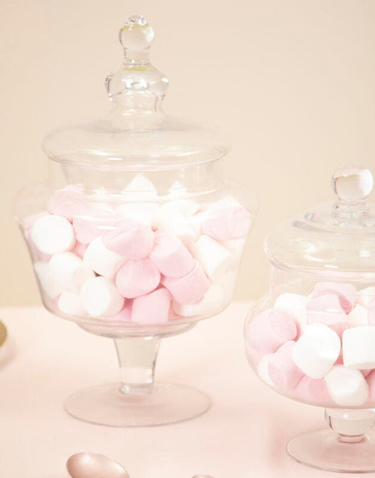 Clear Glass Candy Large Storage Jar | Olivia
