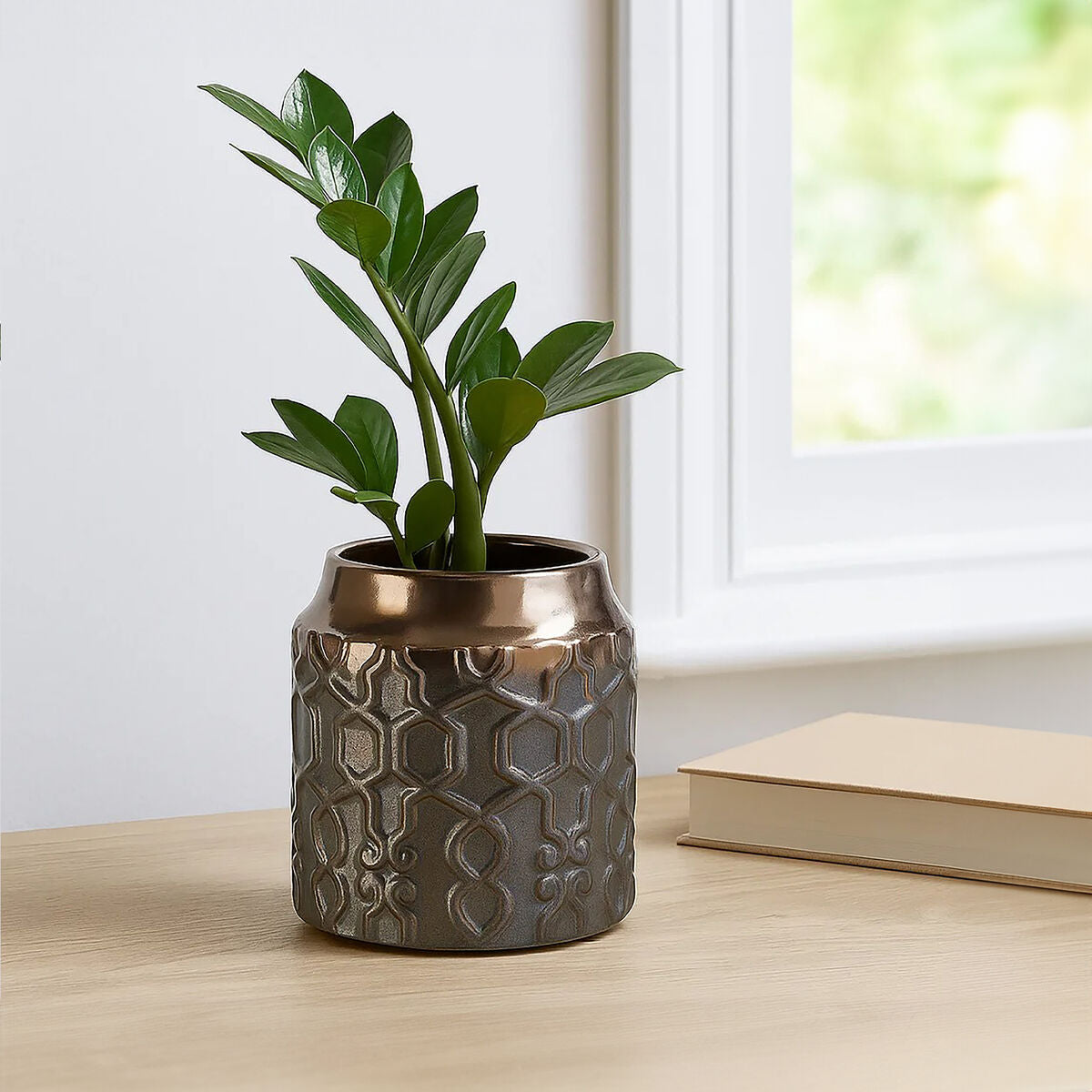 Small Ceramic Planter | Zircon