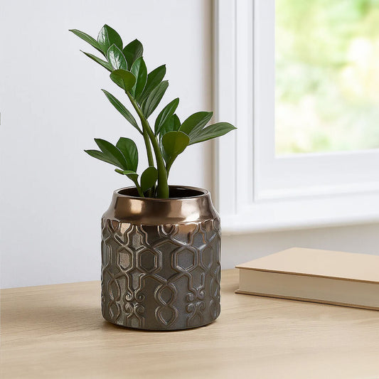 Small Ceramic Planter | Zircon