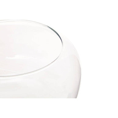 Ambra Clear Glass Globe Vase with Rounded Design