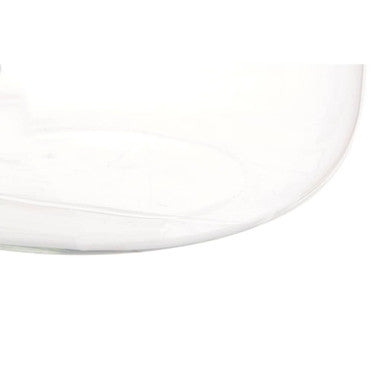 Ambra Clear Glass Globe Vase with Rounded Design