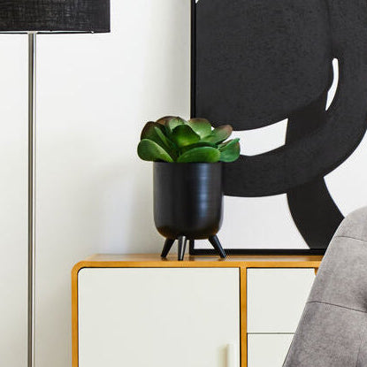 Black Vase | Alina