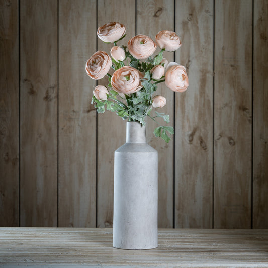 Pastel Pink Ranunculus