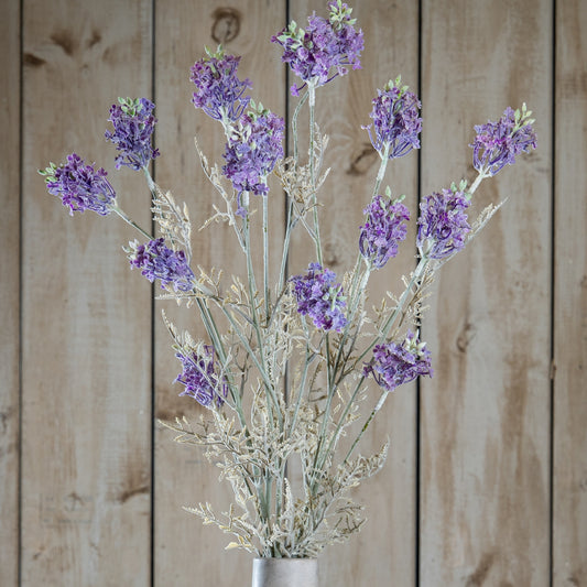Purple Meadow Flower