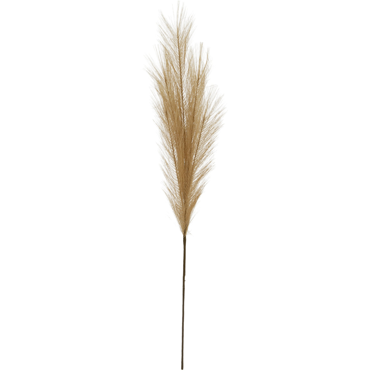 Faux Pampas Grass Stem
