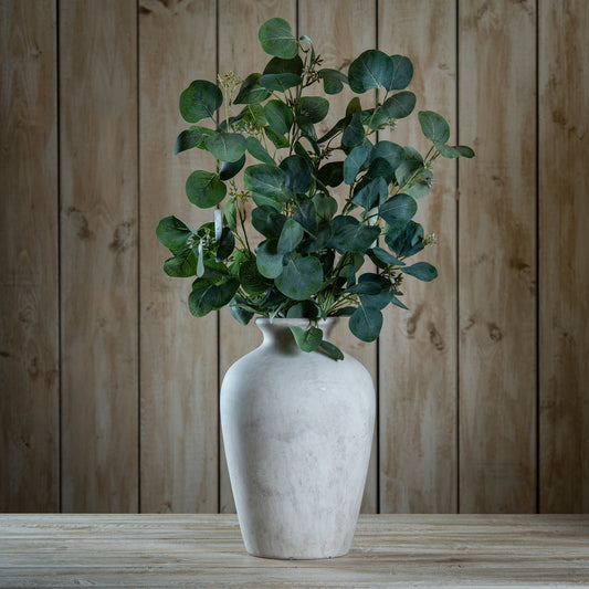 Eucalyptus Stem Spray