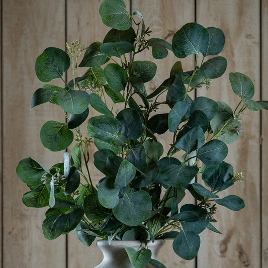 Eucalyptus Stem Spray