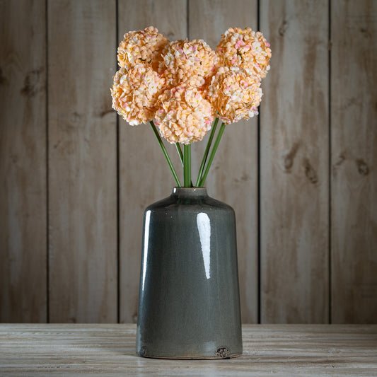 The Natural Garden Collection White & Apricot Allium