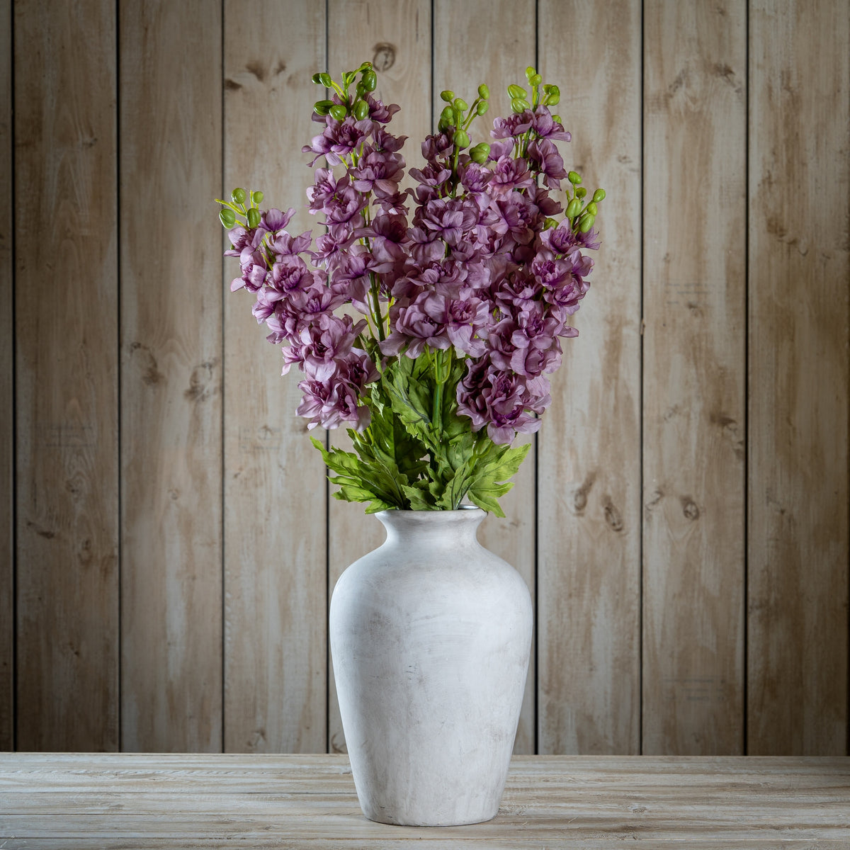 The Natural Garden Collection Purple Elatum Delphinium