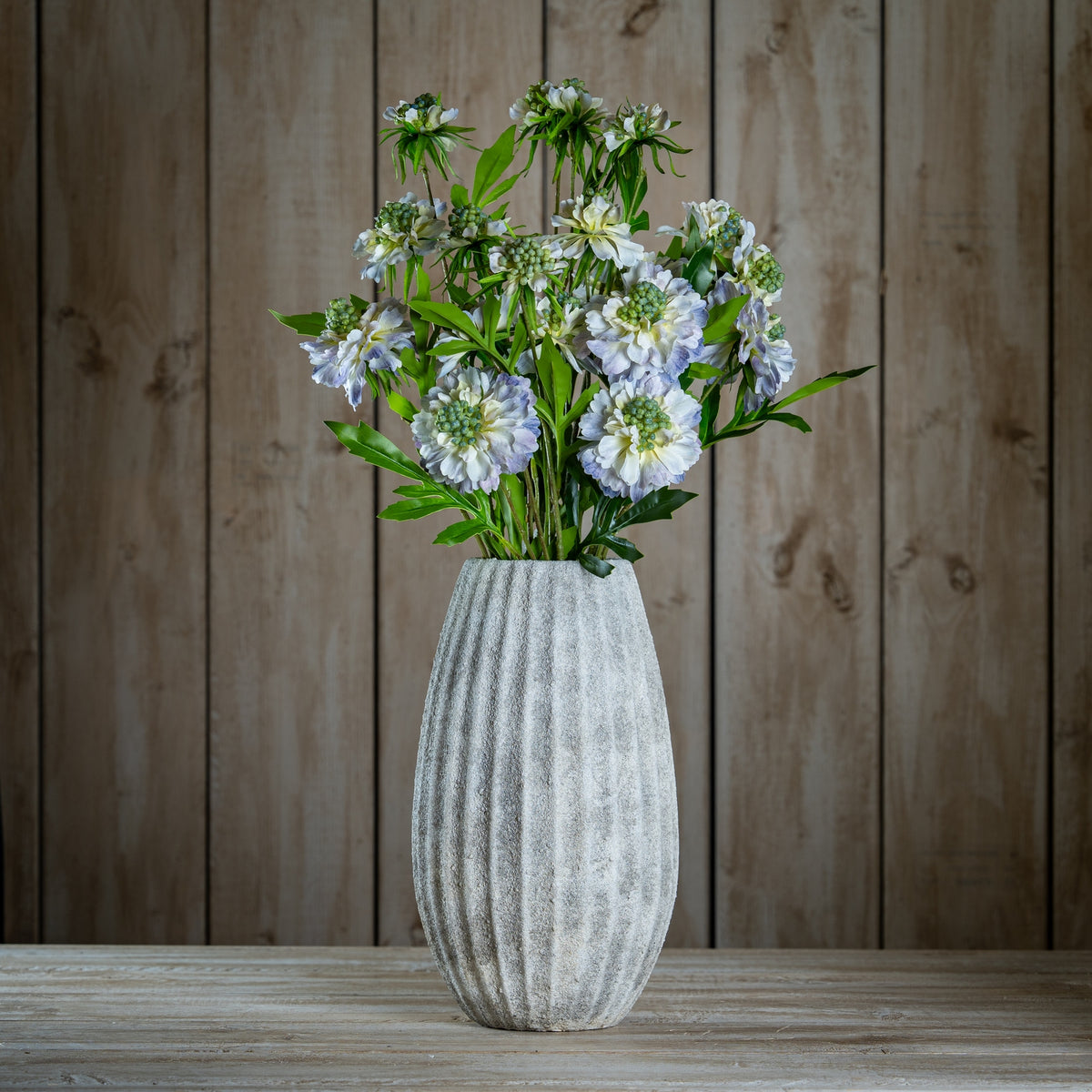 Pale Blue Scabious Stem