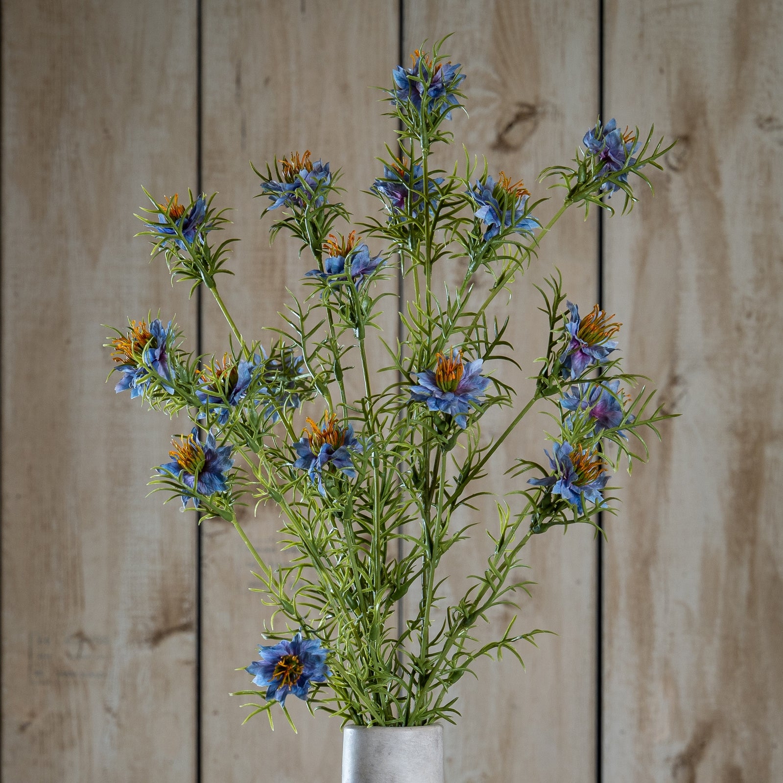 The Natural Garden Collection Purple Nigella Love In A Mist