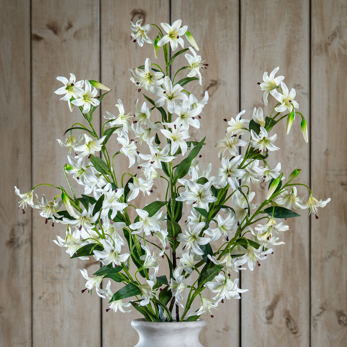 Turks Cap Green Lily Spray