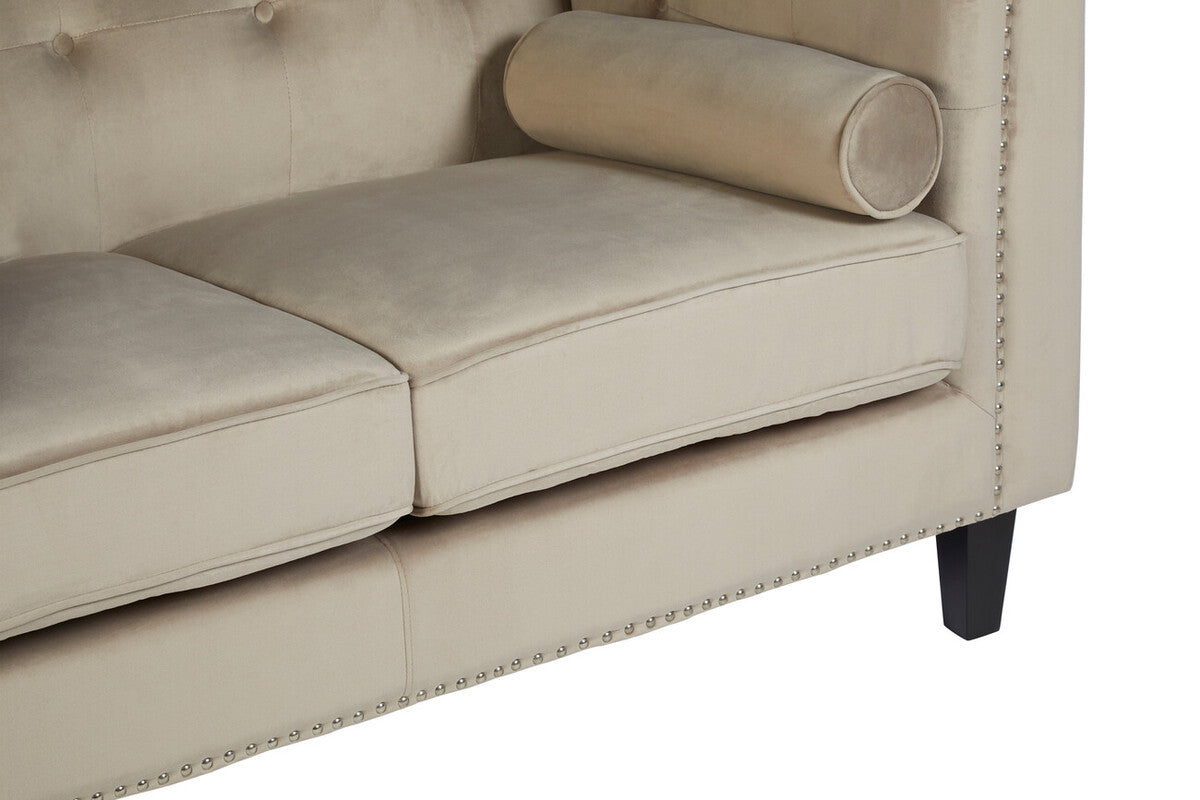 Felisa Mink Velvet 2 Seater Sofa with Stud Detail