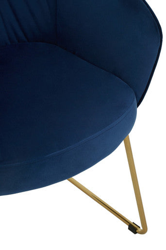 Veneto Midnight Blue Velvet Curved Dining Chair with Brushed Gold Legs