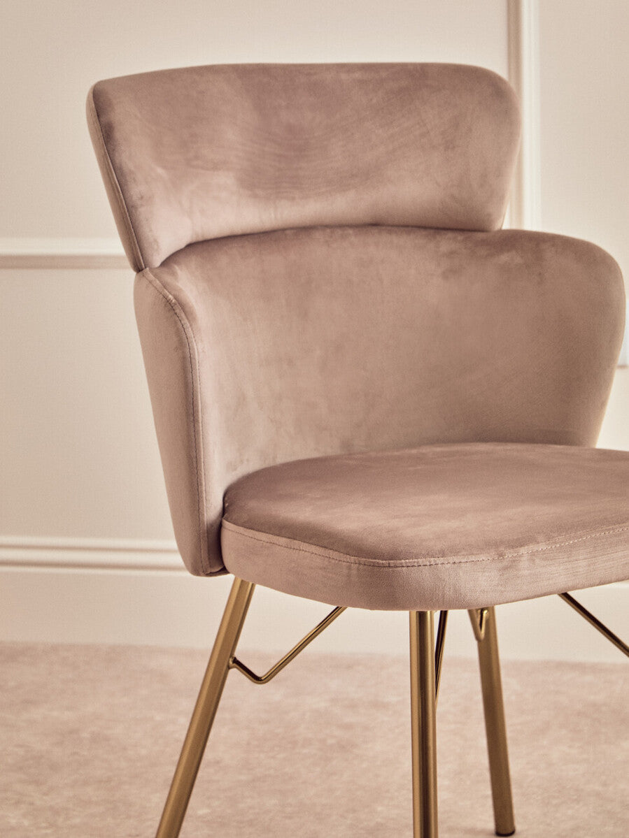 Veneto Mink Velvet Chair with Brushed Gold Finish Legs