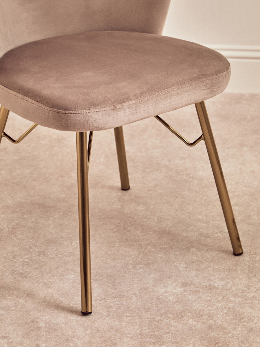 Veneto Mink Velvet Chair with Brushed Gold Finish Legs