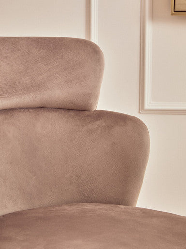Veneto Mink Velvet Chair with Brushed Gold Finish Legs