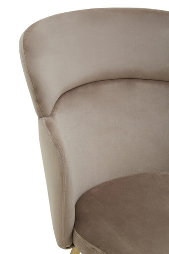 Veneto Mink Velvet Chair with Brushed Gold Finish Legs