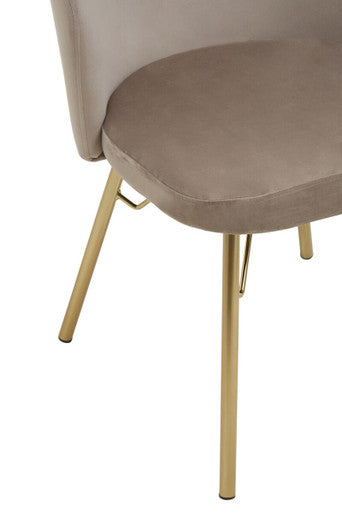 Veneto Mink Velvet Chair with Brushed Gold Finish Legs