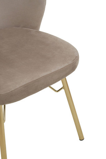 Veneto Mink Velvet Chair with Brushed Gold Finish Legs