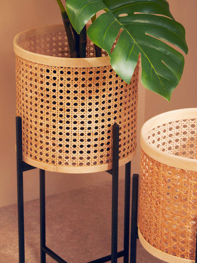 Small Rattan Planter with Metal Stand | Depok