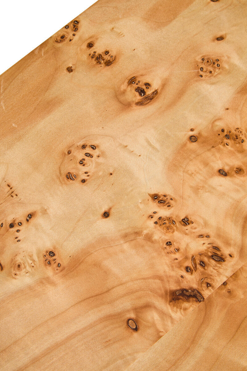 Mota Natural Burl Wood Curved Coffee Table