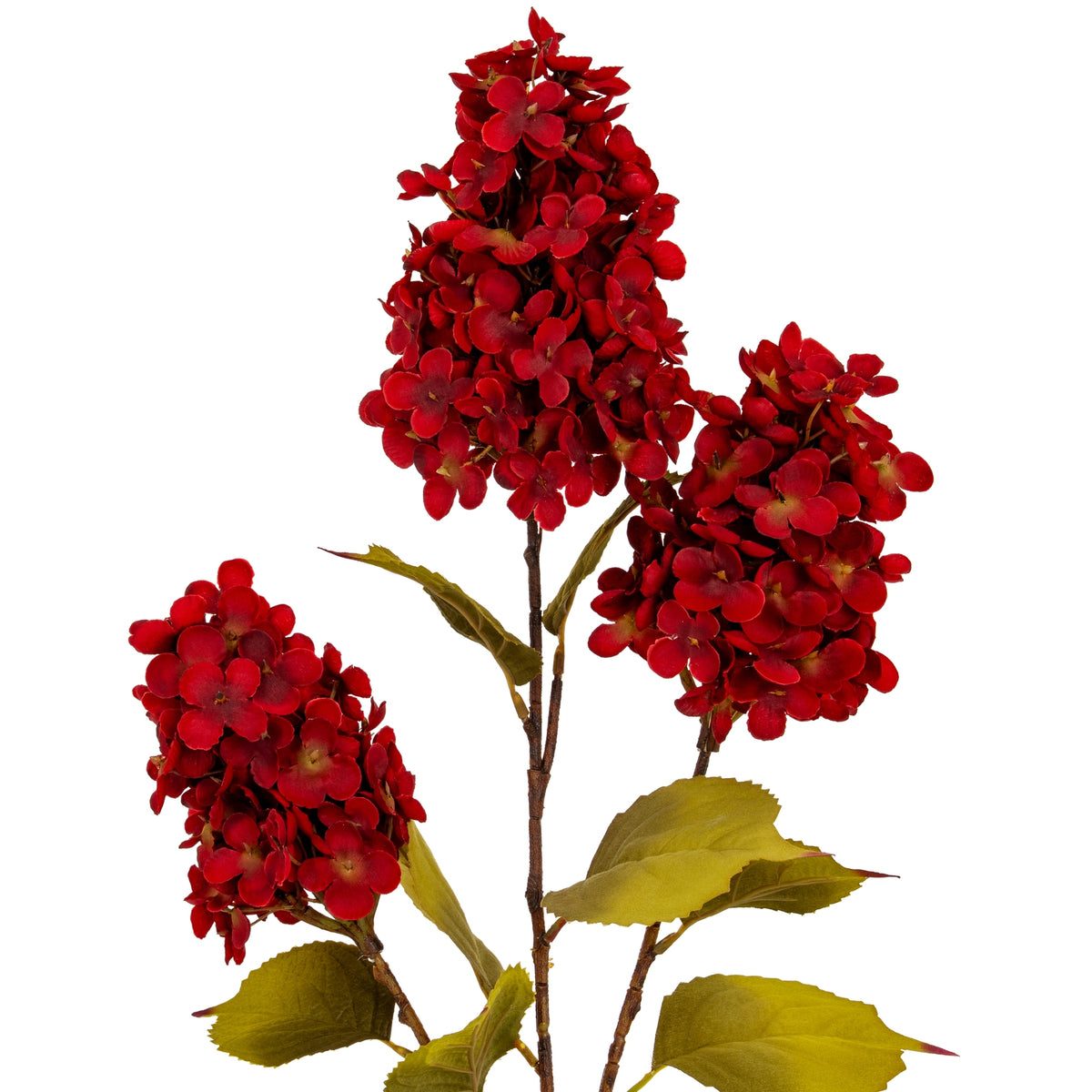 Dark Red Spear Hydrangea Spray