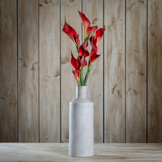Fireball Calla Lily