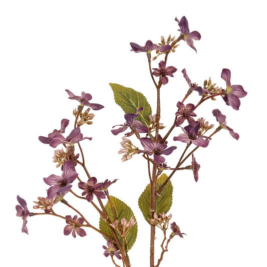 Purple Vernicia Fordii Spray