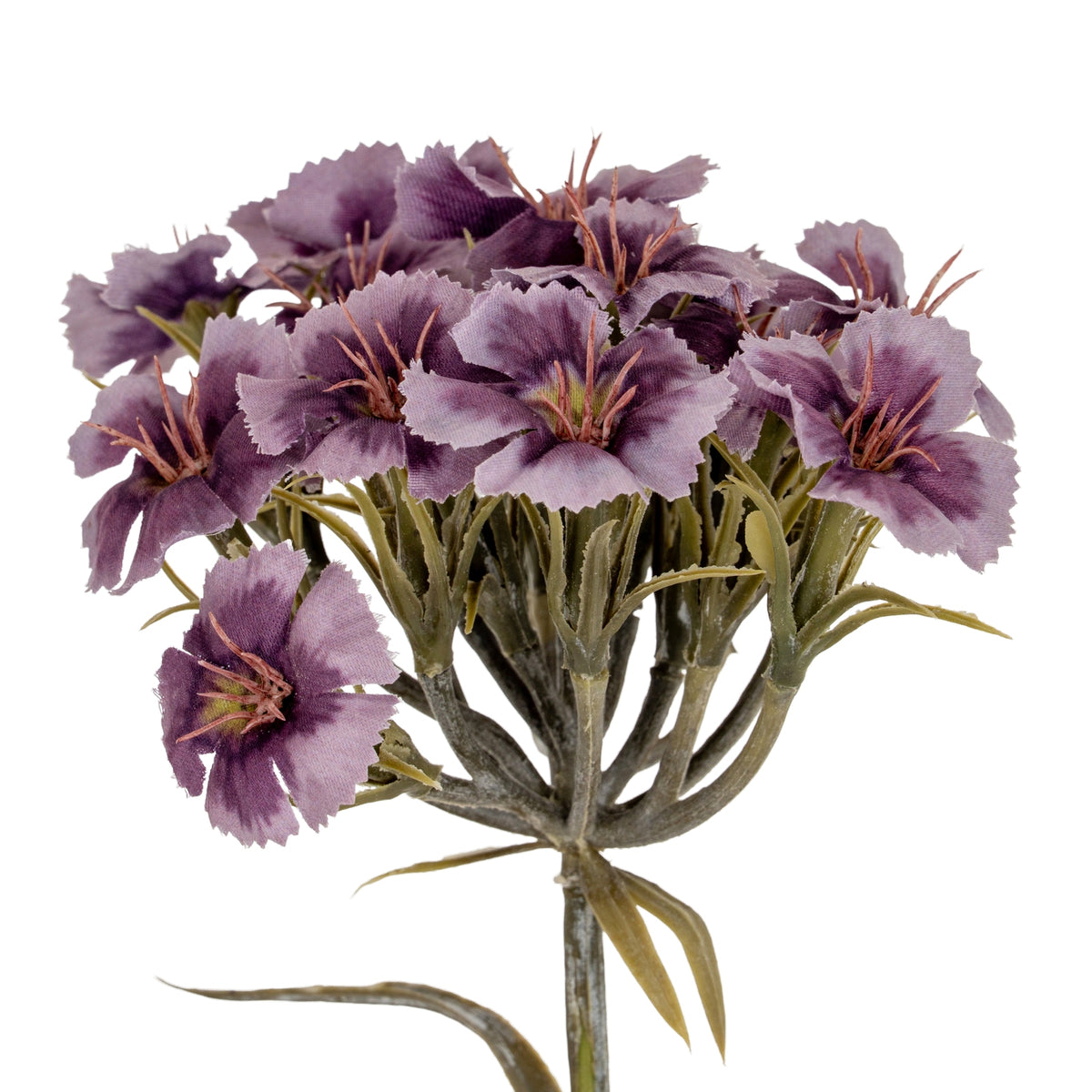 Purple Dianthus Spray