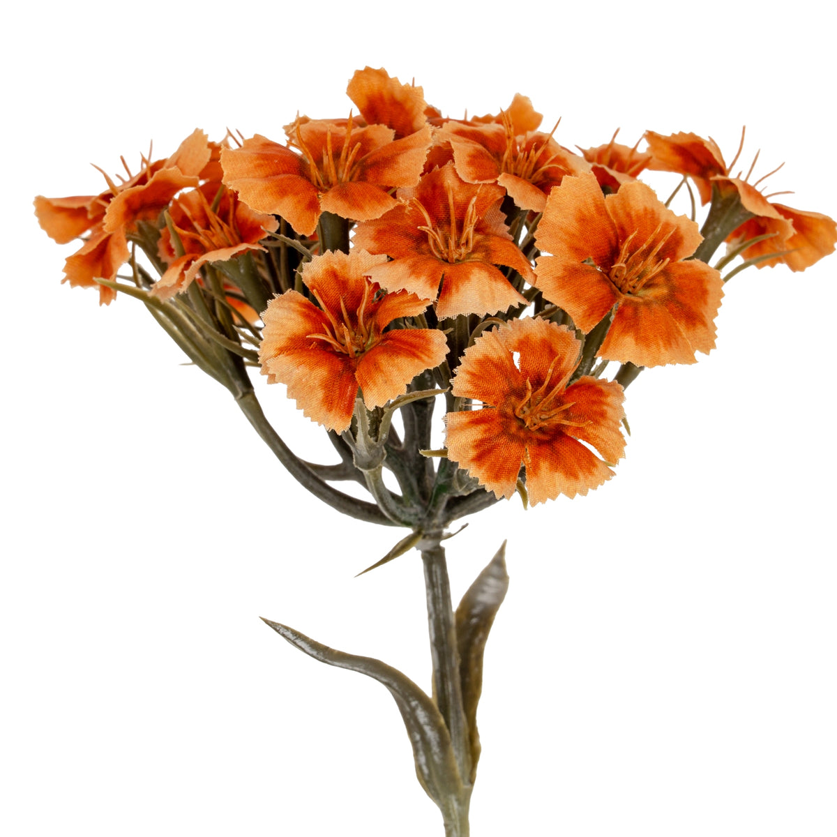 Orange Dianthus Spray
