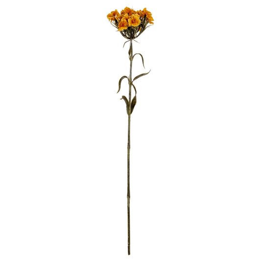Yellow Dianthus Spray