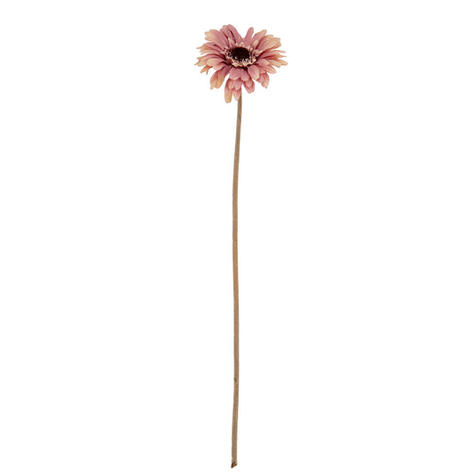 Pink Gerbera Stem