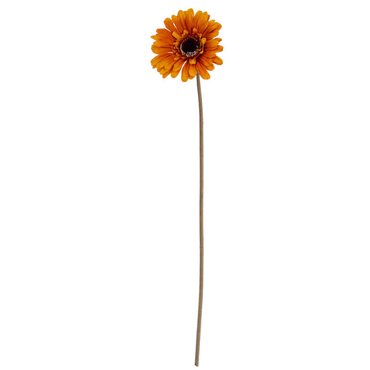 Soft Yellow Gerbera Stem