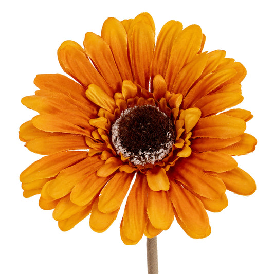 Soft Yellow Gerbera Stem