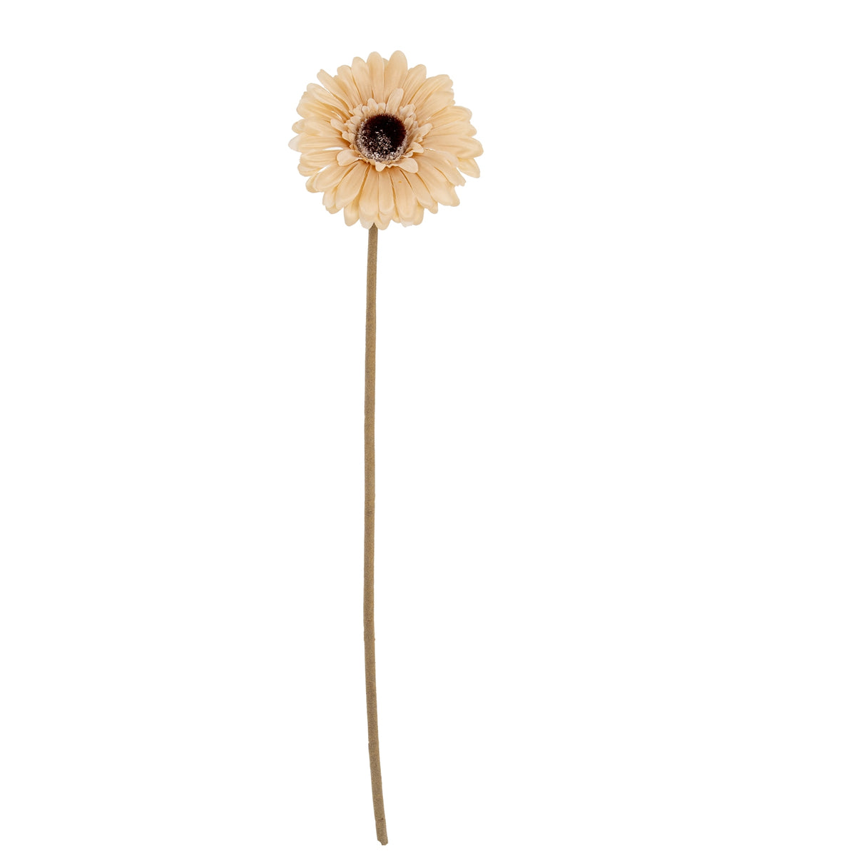 Cream Gerbera Stem