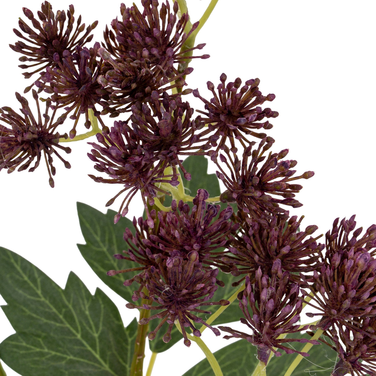 Purple French Meadow Spray
