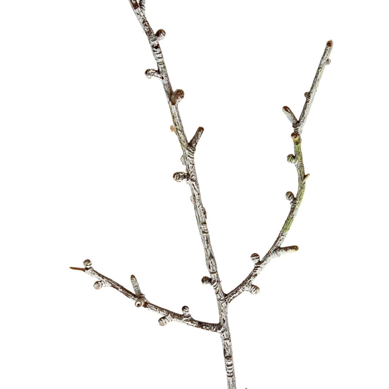 Snowy Winter Woodland Branch