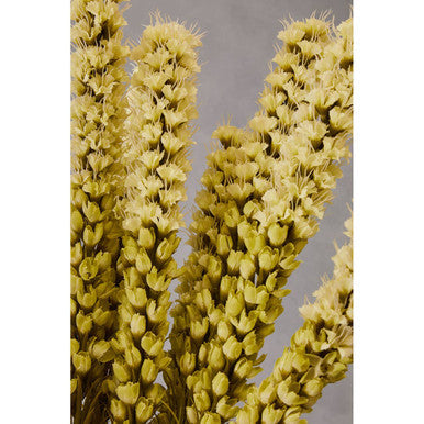 White Blazing Star Flower Stem | Fiori Artificial flowers