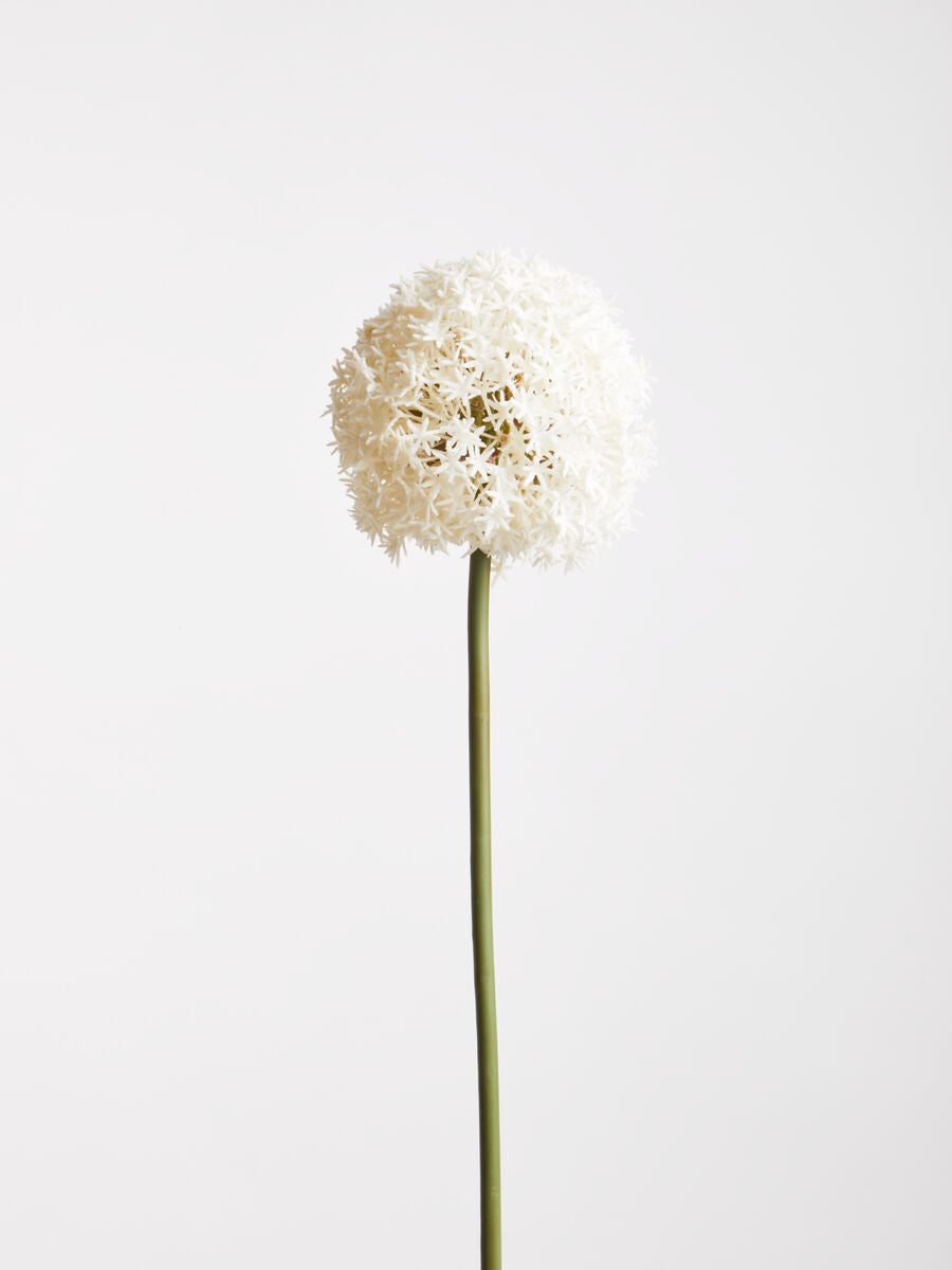 Ivory Allium Flower Stem | Fiori Artificial flowers