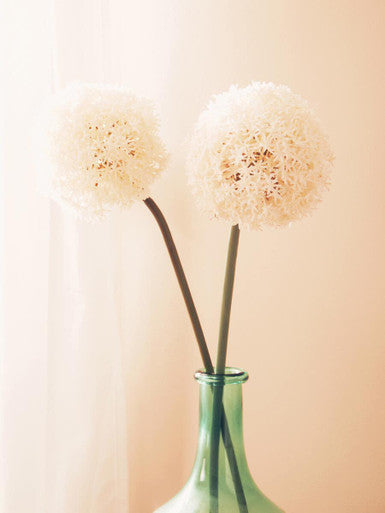 Ivory Allium Flower Stem | Fiori Artificial flowers