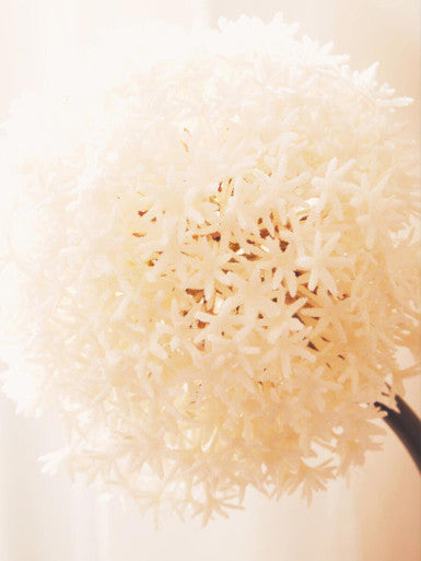 Ivory Allium Flower Stem | Fiori Artificial flowers