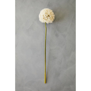 Ivory Allium Flower Stem | Fiori Artificial flowers