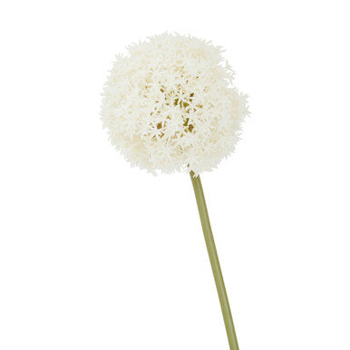 Ivory Allium Flower Stem | Fiori Artificial flowers