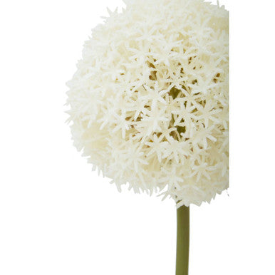 Ivory Allium Flower Stem | Fiori Artificial flowers