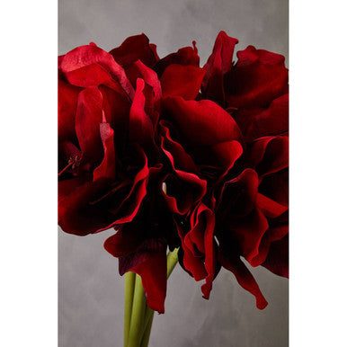 Burgundy Amaryllis Flower Stem | Fiori Artificial flowers