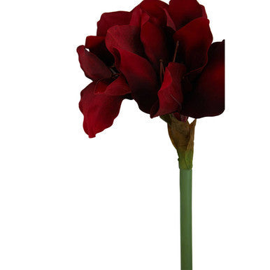 Burgundy Amaryllis Flower Stem | Fiori Artificial flowers