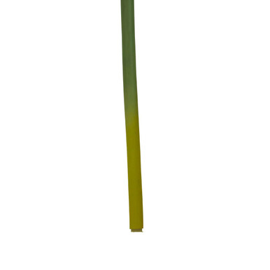 Burgundy Amaryllis Flower Stem | Fiori Artificial flowers