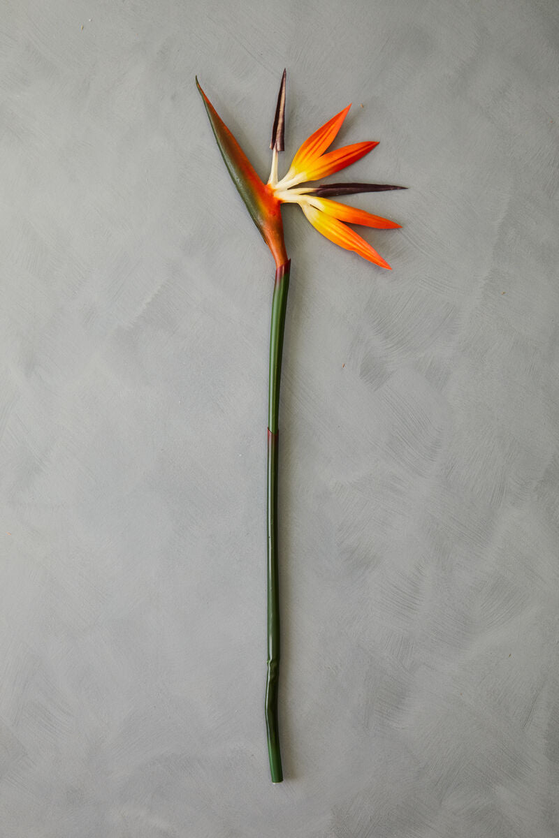 Tall Bird Of Paradise Flower Stem | Fiori Artificial flowers