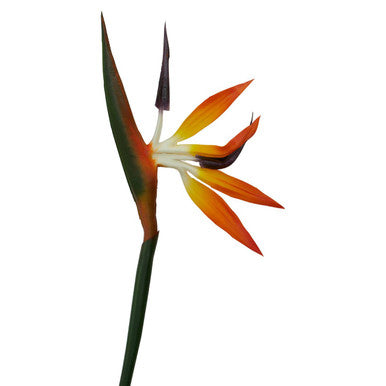 Tall Bird Of Paradise Flower Stem | Fiori Artificial flowers